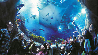 海洋公园3日游_香港迪士尼旅游十一日游_香港迪士尼几日游最好_双人香港迪士尼旅游多少钱