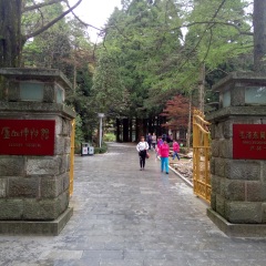 景点模块 
