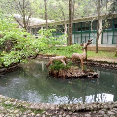 景点模块 