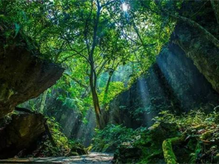 貴州旅游要多少錢2021_貴州旅行團(tuán)自由行