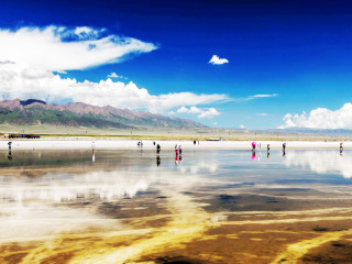 青海湖旅游花多少錢_旅行團(tuán)青海湖游_現(xiàn)在到青海湖旅游多少錢
