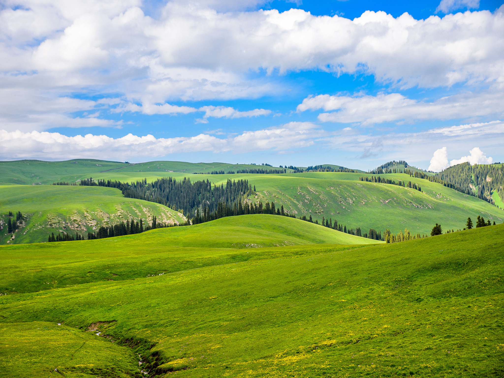 【特卖会】_特价旅游_旅游打折优惠_旅游特卖