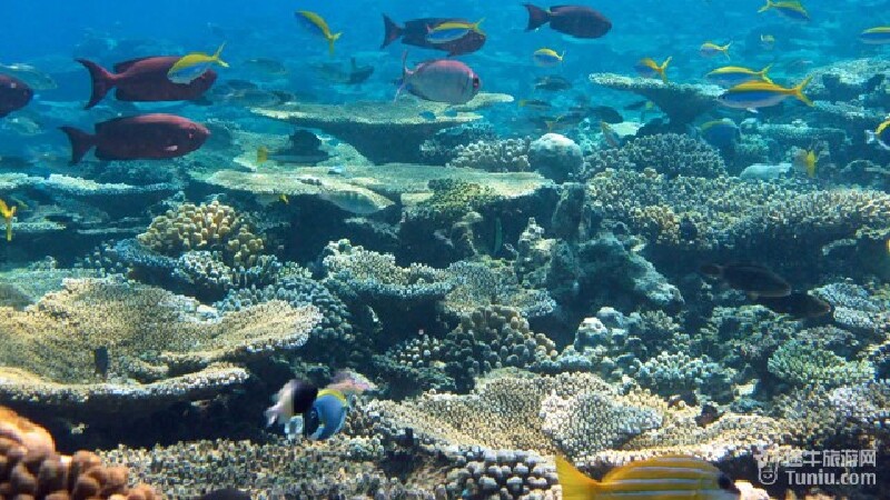 总督度假村旅游景点介绍_2015总督度假村简介