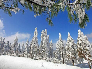 武隆天坑地缝国家地质公园旅游攻略_武隆天坑