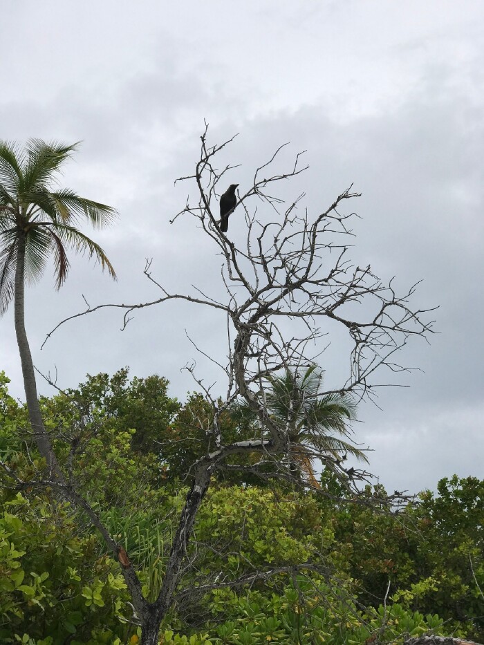 马尔代夫菲诺娜岛游记