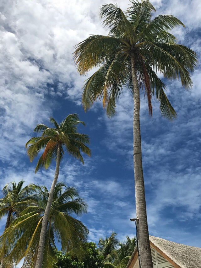 马尔代夫菲诺娜岛游记