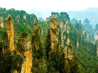 近期湖南張家界游價(jià)格_去湖南張家界旅游多少錢_湖南張家界旅游需要多少錢