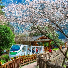 景点模块 