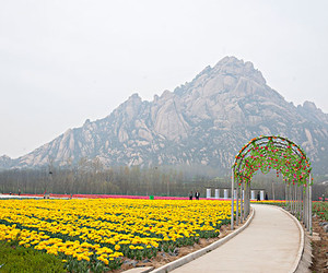 嵖岈山风景区