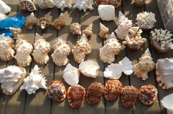 马尔代夫货币情况_马尔代夫购物信息_马尔代