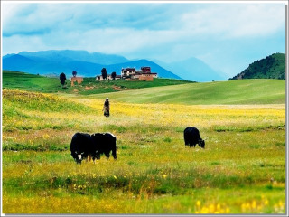 稻城亚丁随团游_稻城亚丁游旅游团_近期到稻城亚丁旅游
