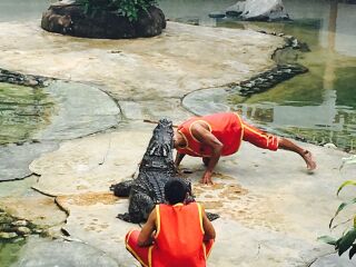 泰國旅游要多少錢跟團_泰國旅游報團價格_泰國自由行組團