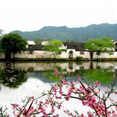 景点模块 