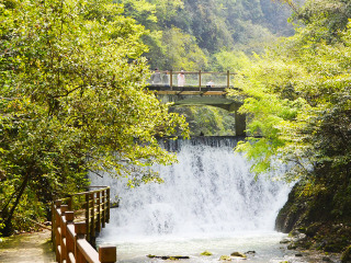湖南張家界自由游價(jià)格多少_旅游團(tuán)湖南張家界_湖南張家界游花多少錢