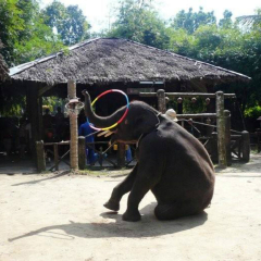 景点模块 