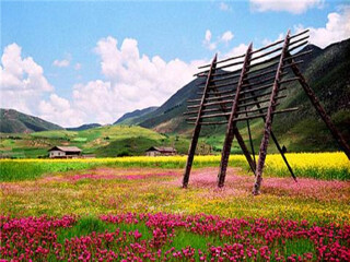 香格里拉定制旅游价格_报团到香格里拉旅游多少钱_深圳去香格里拉旅游价格