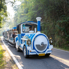 景区观光车 小交通模块