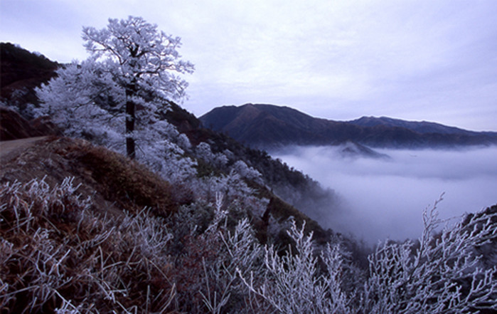 桂林华南之巅猫儿山看日出观云海盼雪景