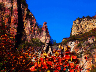 河南云臺山少林寺旅游價格_河南云臺山少林寺游跟團(tuán)多少錢2021_特價河南云臺山少林寺游