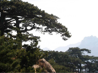 山東半自由行_山東游價格_山東旅游多少錢
