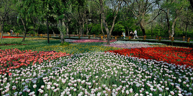 鄢陵花木博览园旅游景点大全