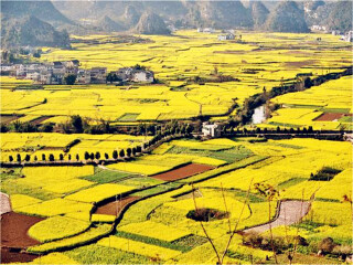 贵州黄果树5日旅游_旅行线路贵州黄果树_参团去贵州黄果树旅游