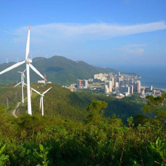 活动模块 