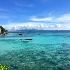 活动模块 