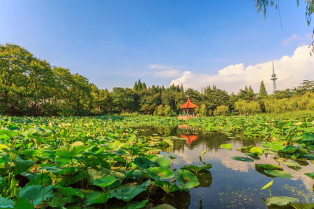 活动模块 