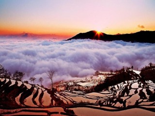 云南元陽梯田旅游跟團(tuán)需多少錢_云南元陽梯田游特價團(tuán)_云南元陽梯田報團(tuán)旅游多少錢