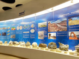 去深圳較場(chǎng)尾游要多少錢_深圳較場(chǎng)尾自由行還是跟團(tuán)好_深圳較場(chǎng)尾旅游價(jià)格多少跟團(tuán)