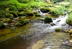 金鞭溪 景点模块