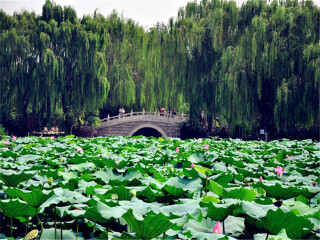 青島旅游跟團(tuán)多少錢_青島五日旅游_青島旅游跟團(tuán)需多少錢