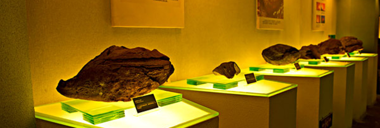 地质公园博物馆