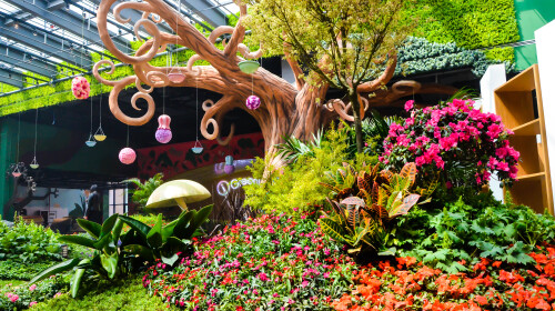 扬州-马可波罗花世界-东关街1日游 朋友圈霸屏