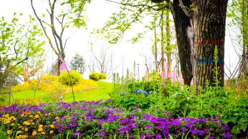 扬州-马可波罗花世界-东关街1日游 朋友圈霸屏