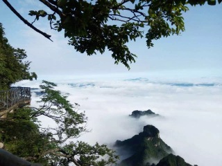 湖南張家界游跟團(tuán)多少錢_深圳到湖南張家界旅游報(bào)價(jià)_湖南張家界旅游最佳路線