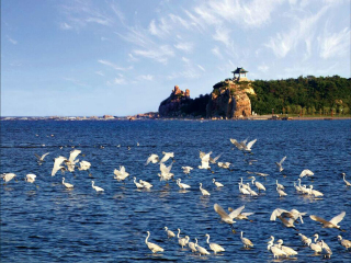 北戴河旅游團(tuán)報(bào)價(jià)_北戴河旅游一次多少錢(qián)_北戴河高端品質(zhì)旅游團(tuán)