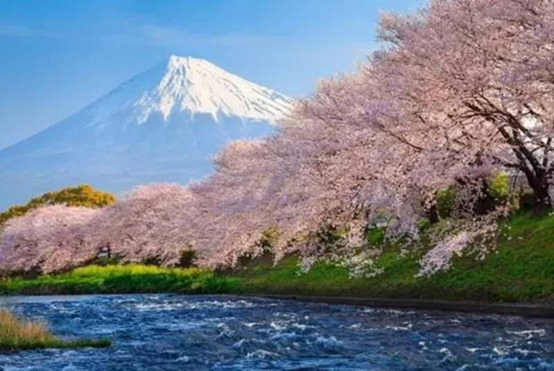 日本平   去日本旅行,怎能不看富士山?静冈县的日本平就是观望富