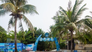 亚龙湾热带天堂森林公园最佳旅游时间?几月去最合适