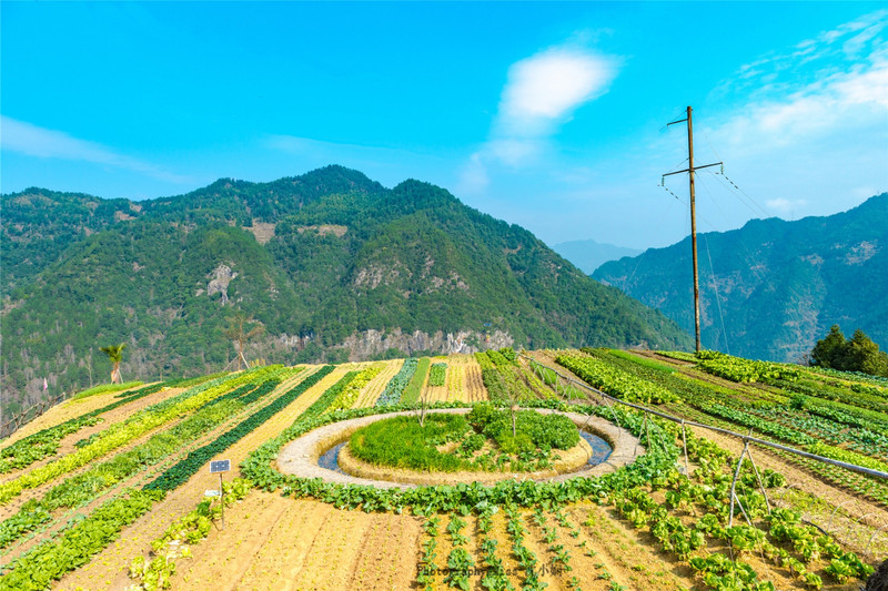 宜良县人口最多的村是哪里_宜良县竹山镇小路纳村(3)