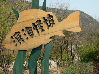 大連游花多少錢_香港旅游團大連_大連旅游多少錢