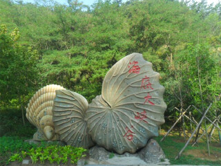 大連游花多少錢_香港旅游團大連_大連旅游多少錢