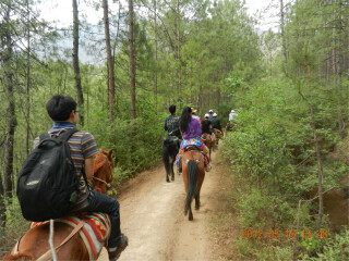 深圳出境香格里拉旅游_香格里拉旅游团价格_香格里拉旅游旅行社