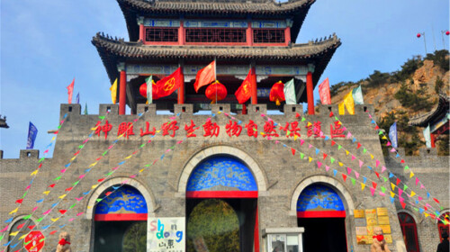  刘公岛-西霞口动物园大巴2日游>无购物 风景优美