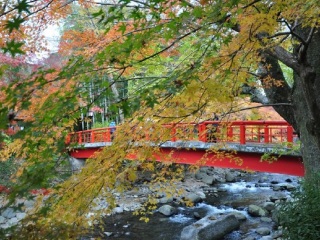 近期日本游價(jià)格_10月1日日本旅游報(bào)價(jià)_日本旅游幾月份最好
