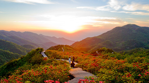 [五一] 浏阳1日游>山丹丹开花红艳艳,大围山赏杜鹃