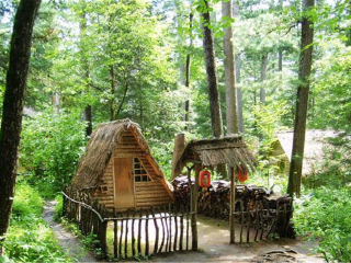 東北四日游_10月東北的旅游路線_東北特價(jià)旅游團(tuán)報(bào)價(jià)