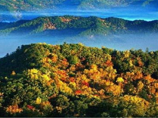 東北四日游_10月東北的旅游路線_東北特價(jià)旅游團(tuán)報(bào)價(jià)