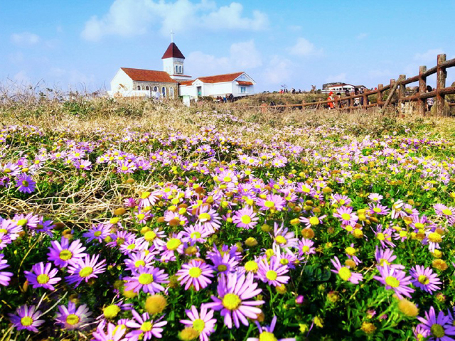 http:\/\/www.tuniu.com\/tour\/210181857